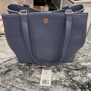 Small ash blue allyn